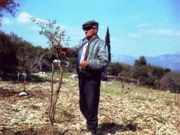 oldmill14_43697291170_o